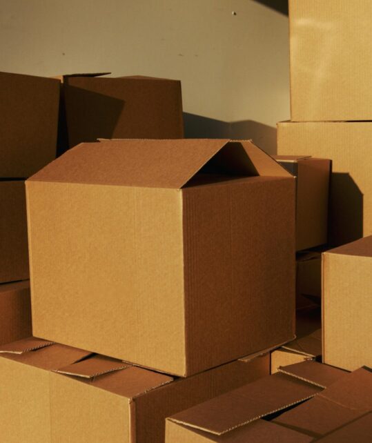 pexels-artempodrez-5025503